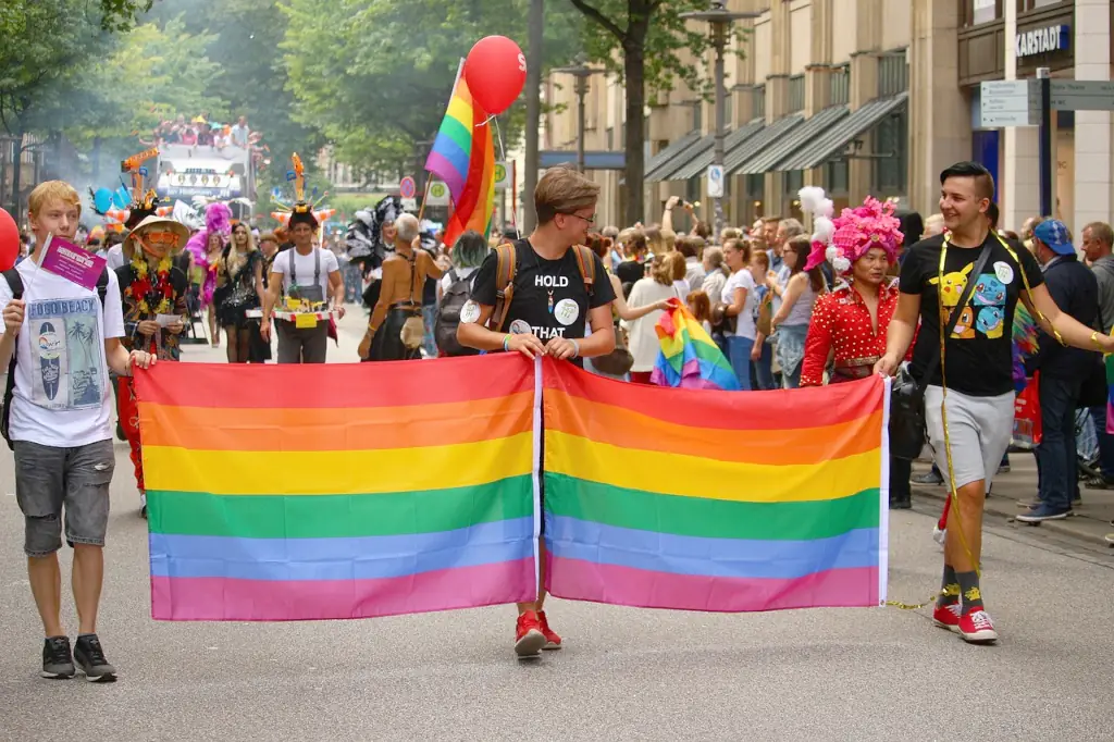 Pride Parades: Celebrating Our Identity in a Changing World